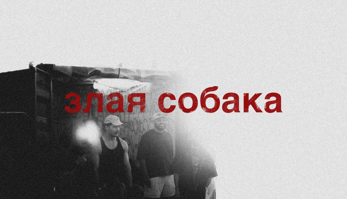 злая собака
